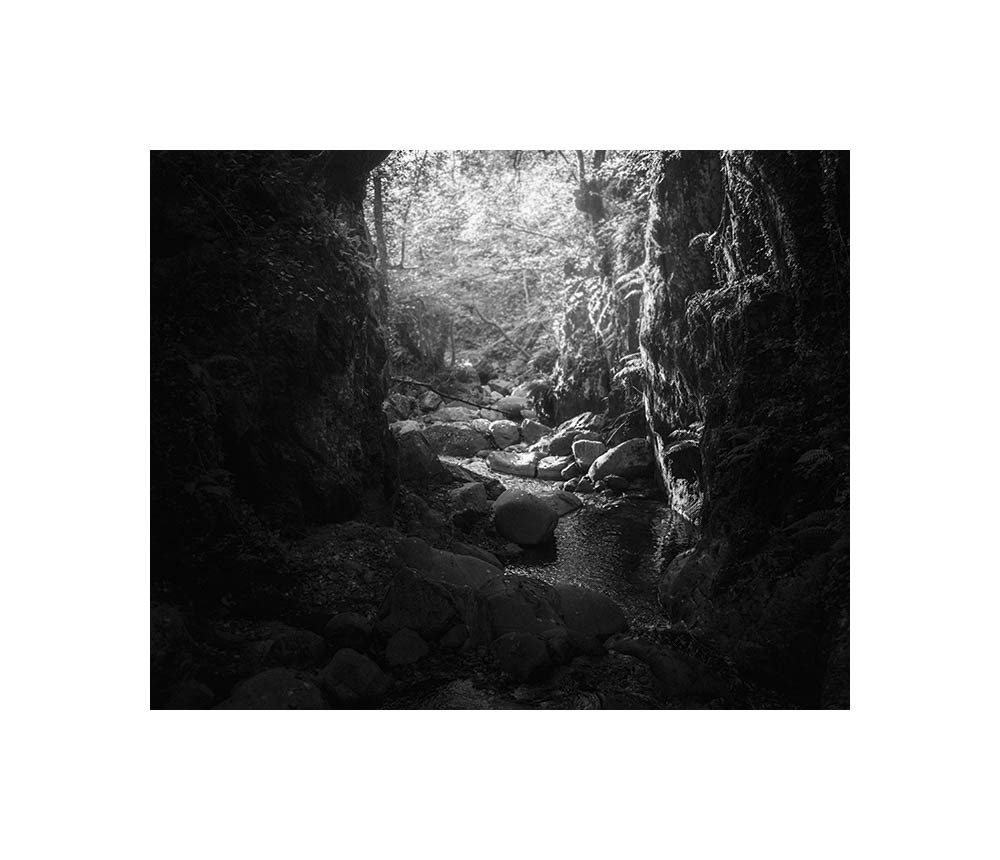 Le petit temple sauvage, 2020