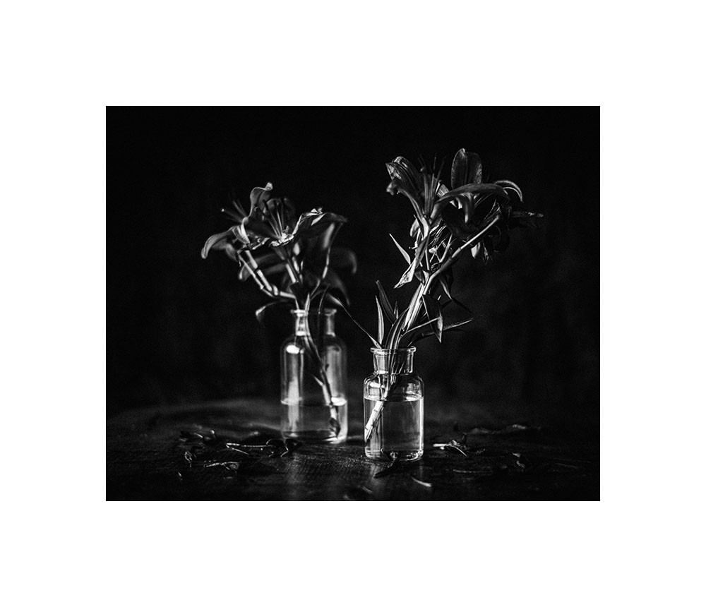 Les lys asiatiques, deux vases
