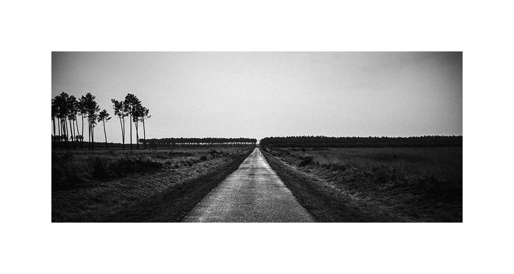 Route et lisière, 2014