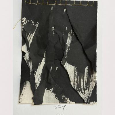 Palimpseste 17