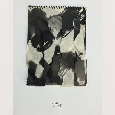 Palimpseste 13