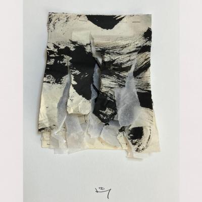 Palimpseste 14
