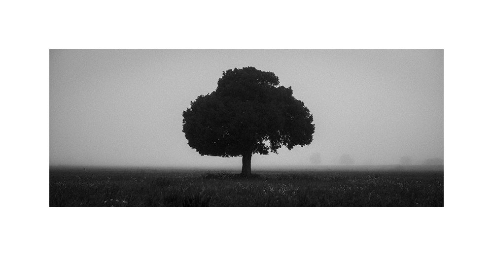 Sud de la Mancha, 2025