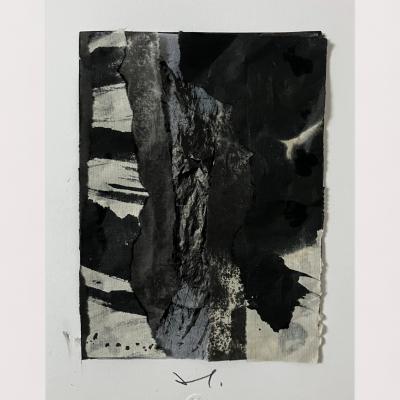 Palimpseste 2
