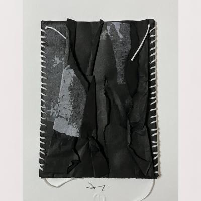 Palimpseste 5