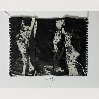 Palimpseste 7