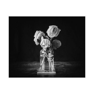 Trois roses fanées 
