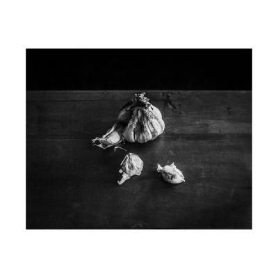 PHOTOGRAPHIE