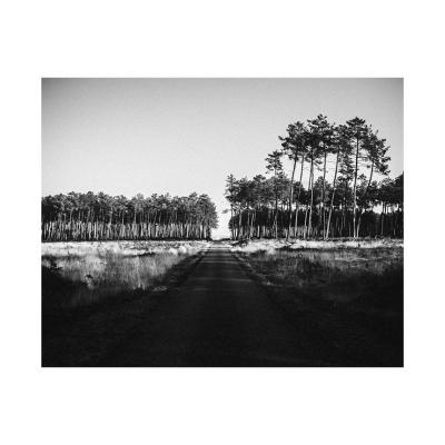 Décembre 2015