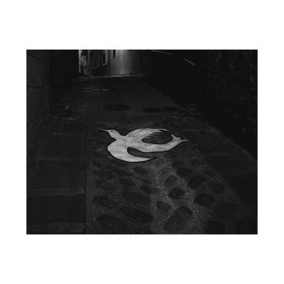 Calaceite, 2013