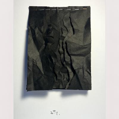 Palimpseste 29
