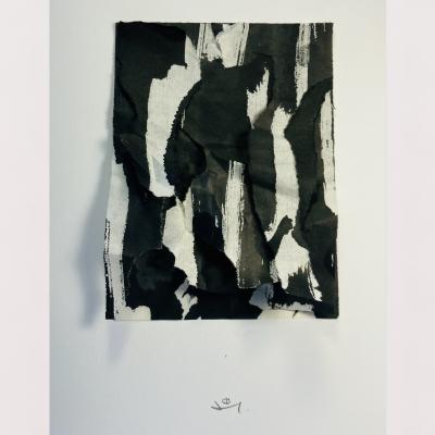 Palimpseste 27