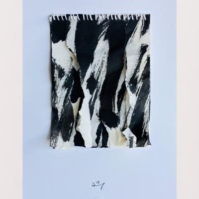 Palimpseste 22