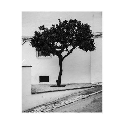 Córdoba