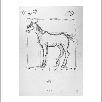 Rocinante et les étoiles