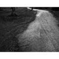 Le chemin blanc, Aragon 2015