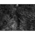 Le ruisseau dans les herbes, Landes 2017