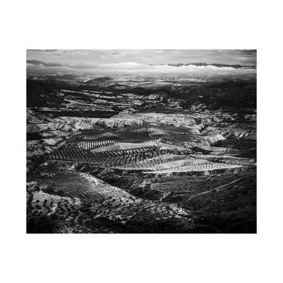 Granada 