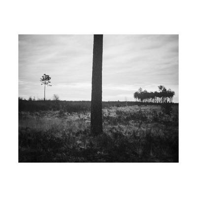 Janvier 2016