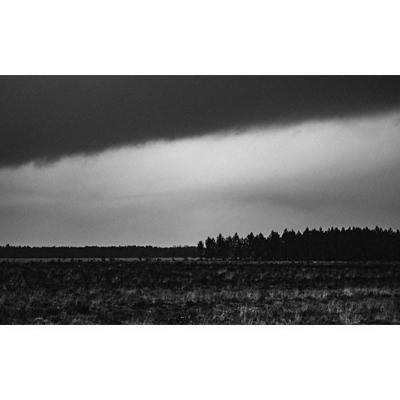 Lisière sous l'orage, 2016