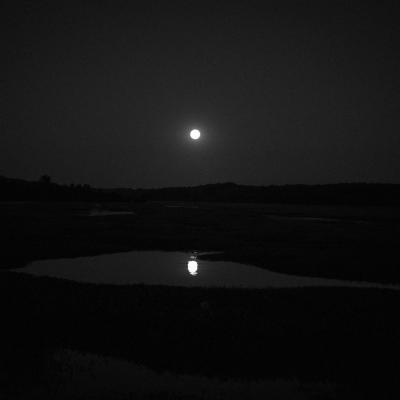 Manciet, Laudes aux Landes