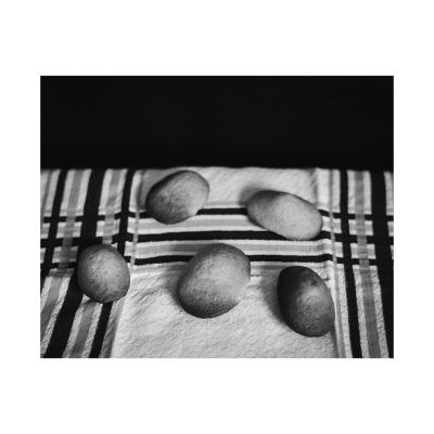 Les madeleines