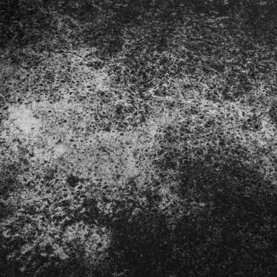 Nympheas-12