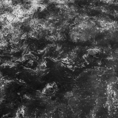 Nympheas-14