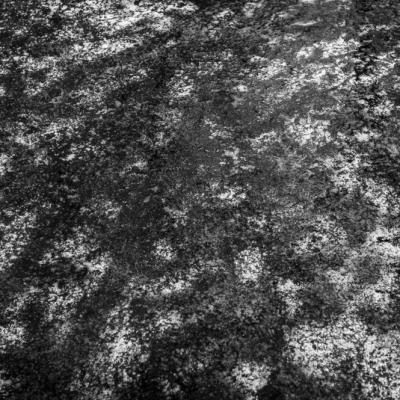 Nympheas-15