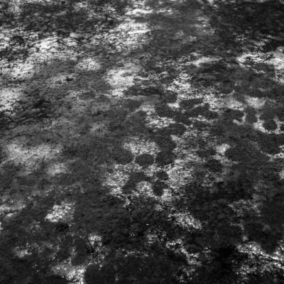 Nympheas-16