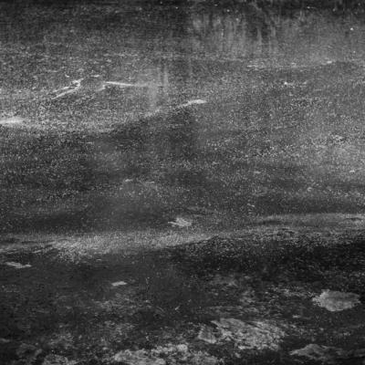 Nympheas-17