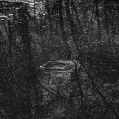 Nympheas-7