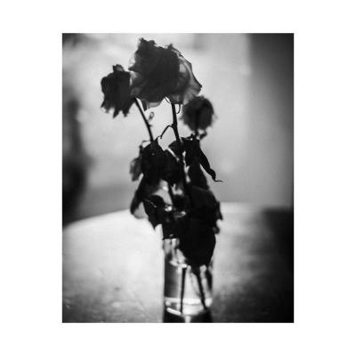 Trois roses