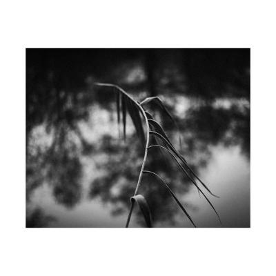 Décembre 2017