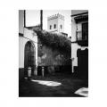 Sevilla, rue, jasmin