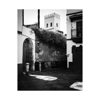 Sevilla, rue, jasmin
