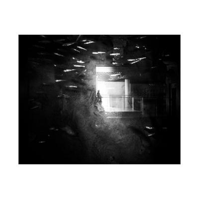Donostia, 2015