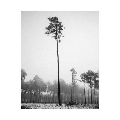 Décembre 2014