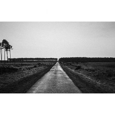 Route et lisière, 2014